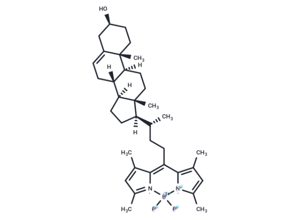 BODIPY-Cholesterol