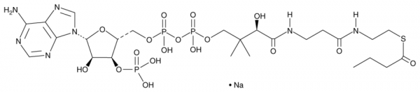 Butyryl-Coenzyme A (sodium salt)