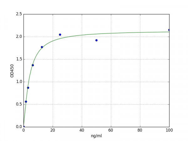 Human Creatine Kinase MM / CKMM ELISA Kit