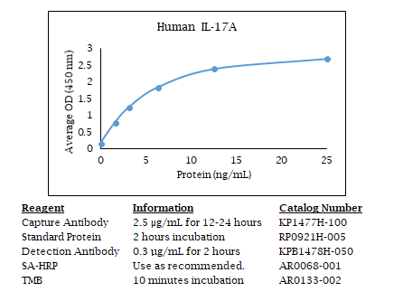 Anti-IL-17A (human), Biotin conjugated