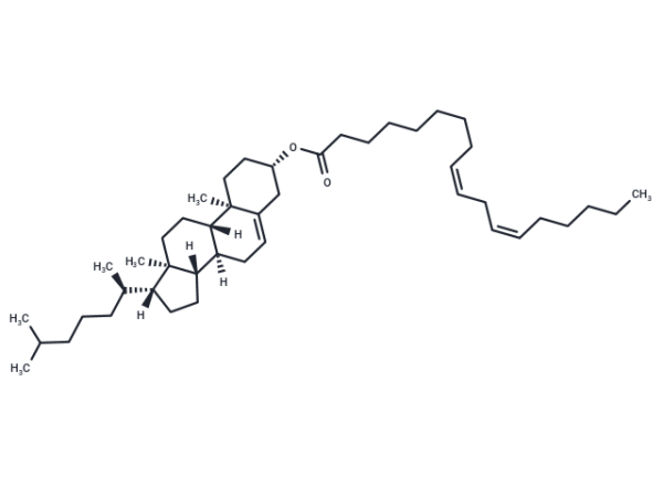 Cholesteryl linoleate