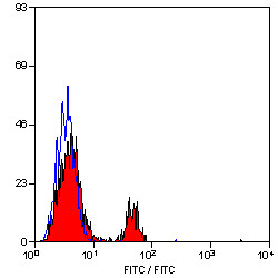 Anti-CD8 (FITC), clone YCATE55.9