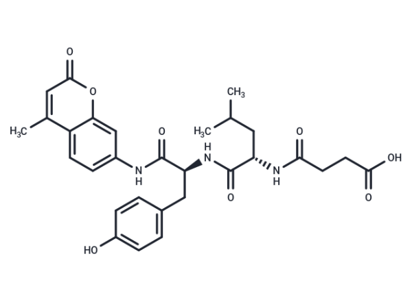 Suc-Leu-Tyr-AMC