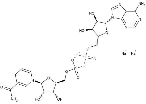 NADH, disodium salt