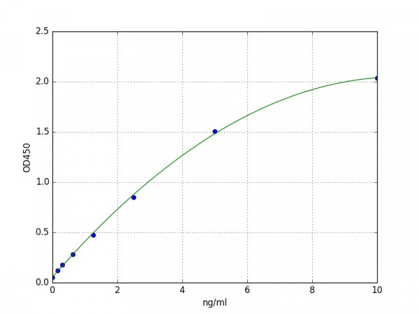 Human IHH / Indian hedgehog protein ELISA Kit