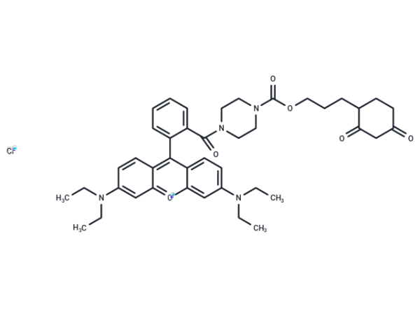 DCP-Rho1