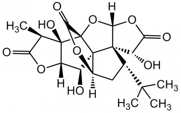 Ginkgolide B