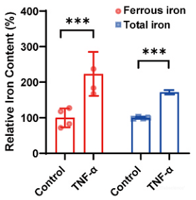 Cell Ferrous Iron Colorimetric Assay Kit