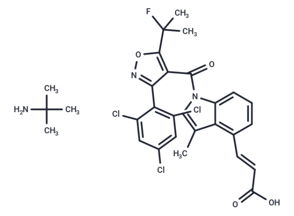 DS-1001b