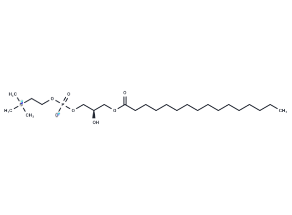 1-Palmitoyl-sn-glycero-3-phosphocholine