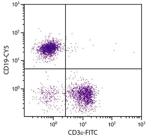 Anti-CD19 (Cy5), clone 6D5