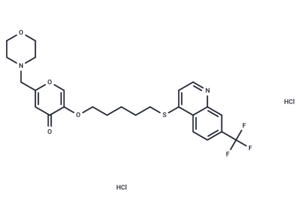 EHT 1864