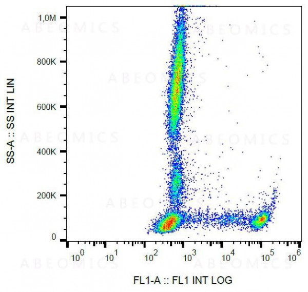 Anti-CD8 Monoclonal Antibody (Clone:MEM-31)-FITC Conjugated
