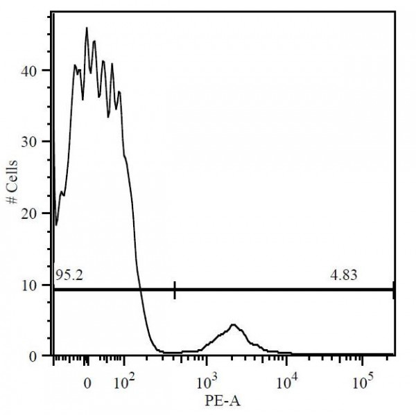 Anti-CD19 (PE), clone 4G7