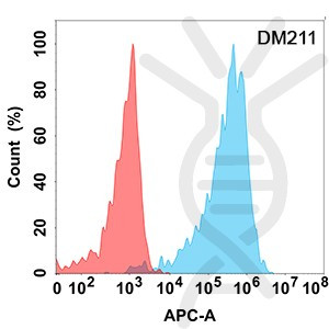 Anti-CD43 antibody(DM211), Rabbit mAb