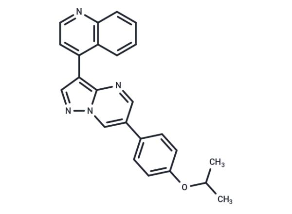 DMH-1