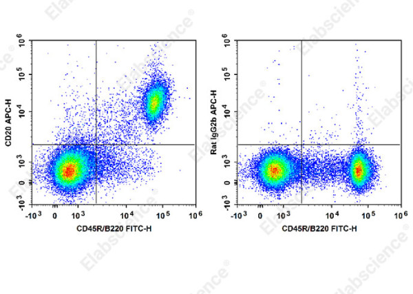 Anti-CD20, clone SA271G2, APC conjugated