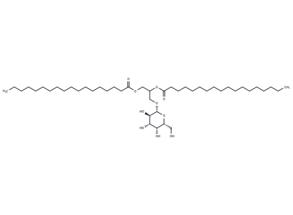 Monogalactosyl Diglyceride