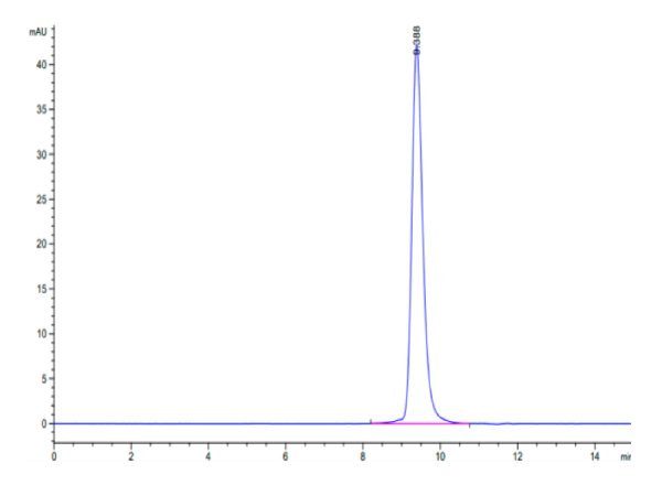 Human BTN3A1/CD277 Protein