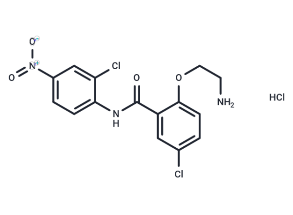 HJC0152 hydrochloride