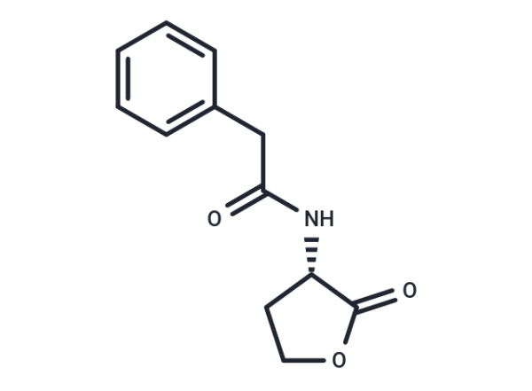 N-phenylacetyl-L-Homoserine lactone