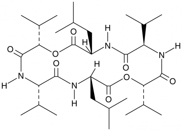 Sporidesmolide III