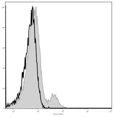 Anti-Mouse CD122 (AF488 Conjugated)[5H4], clone 5H4