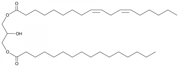 1-Linoleoyl-3-Palmitoyl-rac-glycerol