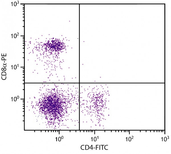 Anti-CD8a, clone 53-6.7 (PE)