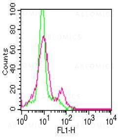 Anti-Human CD19 (Clone: SJ25C1)