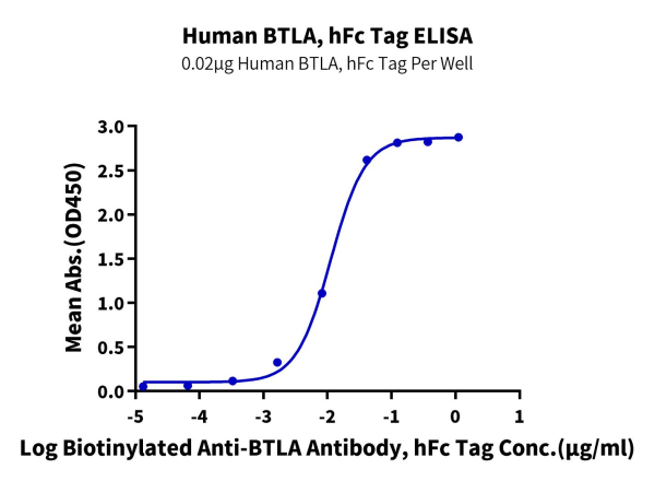 Human BTLA Protein