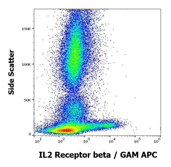 Anti-IL2 Receptor beta, clone TU27