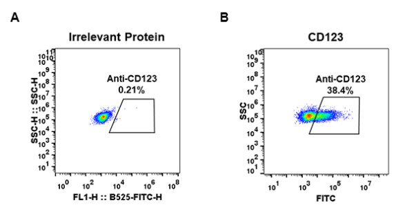 Anti-CD123 antibody(DM33), Rabbit mAb