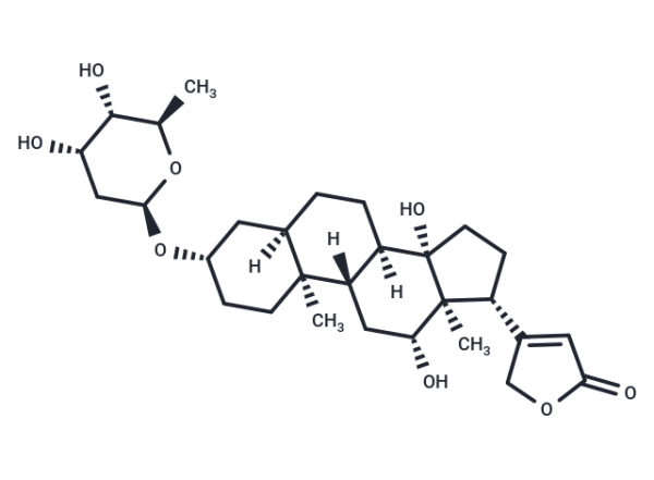 Digoxigenin Monodigitoxoside