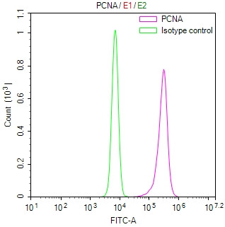 Anti-PCNA Recombinant Monoclonal, clone 3E8