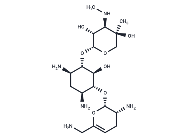 Sisomicin