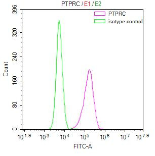 Anti-PTPRC Recombinant Monoclonal, clone 29A11