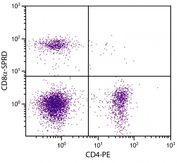 Anti-CD8a (Spectral Red), clone 53-6.7