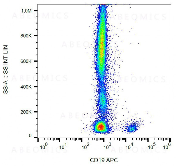 Anti-CD19 Monoclonal Antibody (Clone:4G7 )-APC Conjugated