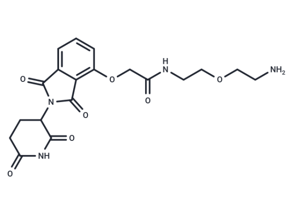 Thalidomide-O-amido-PEG-C2-NH2