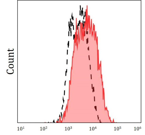 Anti-CXCR7 / CD187 (FITC), clone 10D1-J16