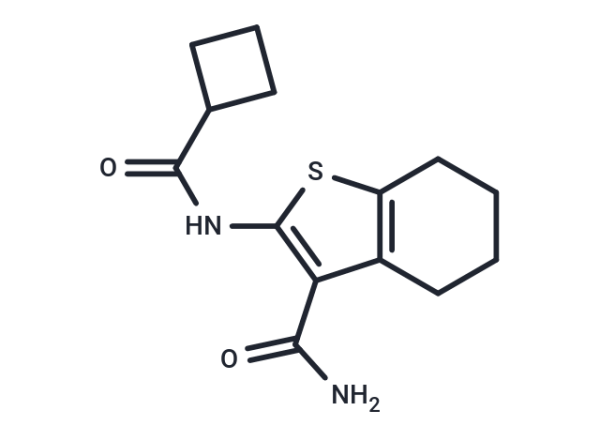 Protein kinase G inhibitor-2