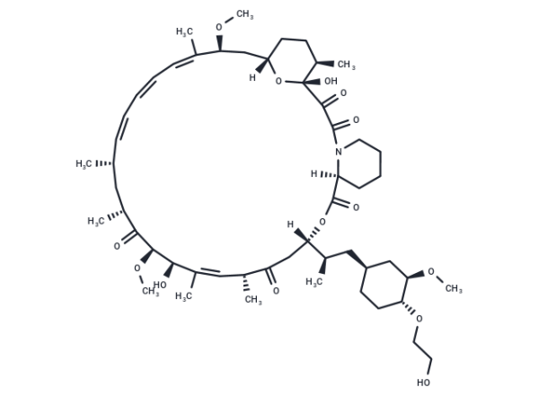 Everolimus