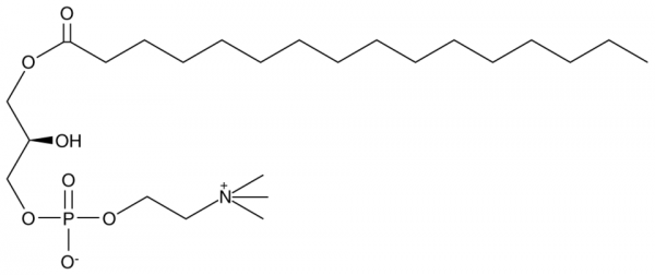 1-Palmitoyl-2-hydroxy-sn-glycero-3-PC