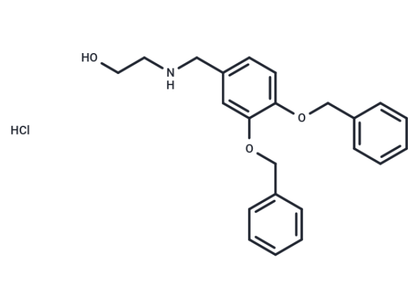 XIE62-1004