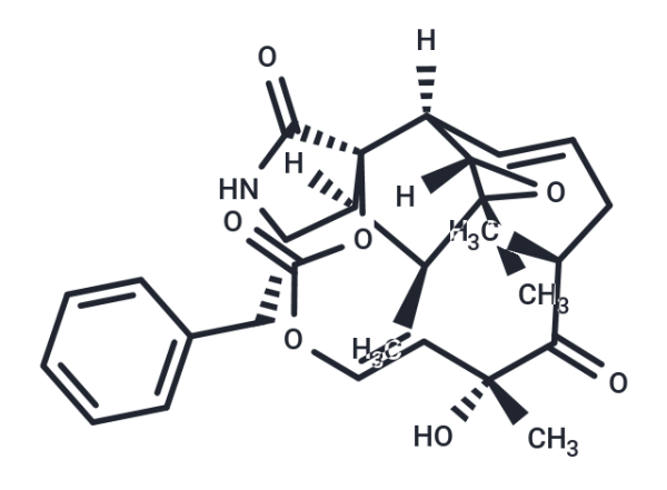 Cytochalasin E