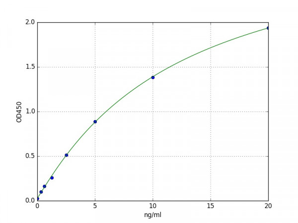 Human Metallothionein/MT ELISA Kit