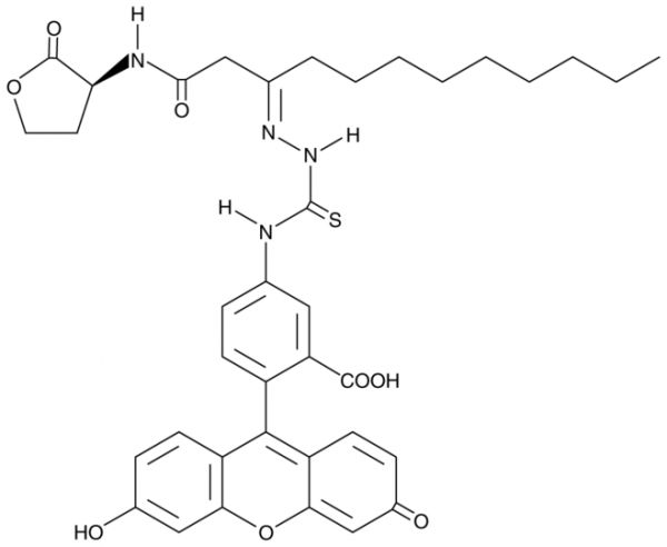 N-dodecanoyl-L-Homoserine lactone-3-hydrazone-fluorescein