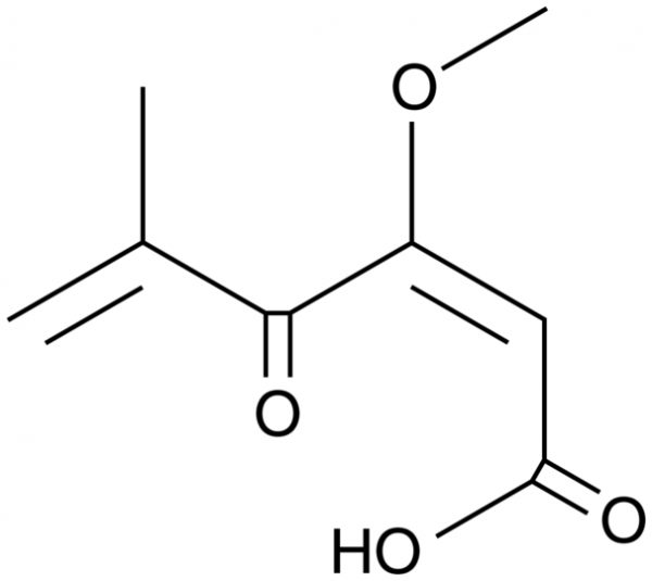 Penicillic Acid