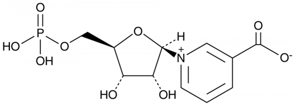 Nicotinic Acid Mononucleotide